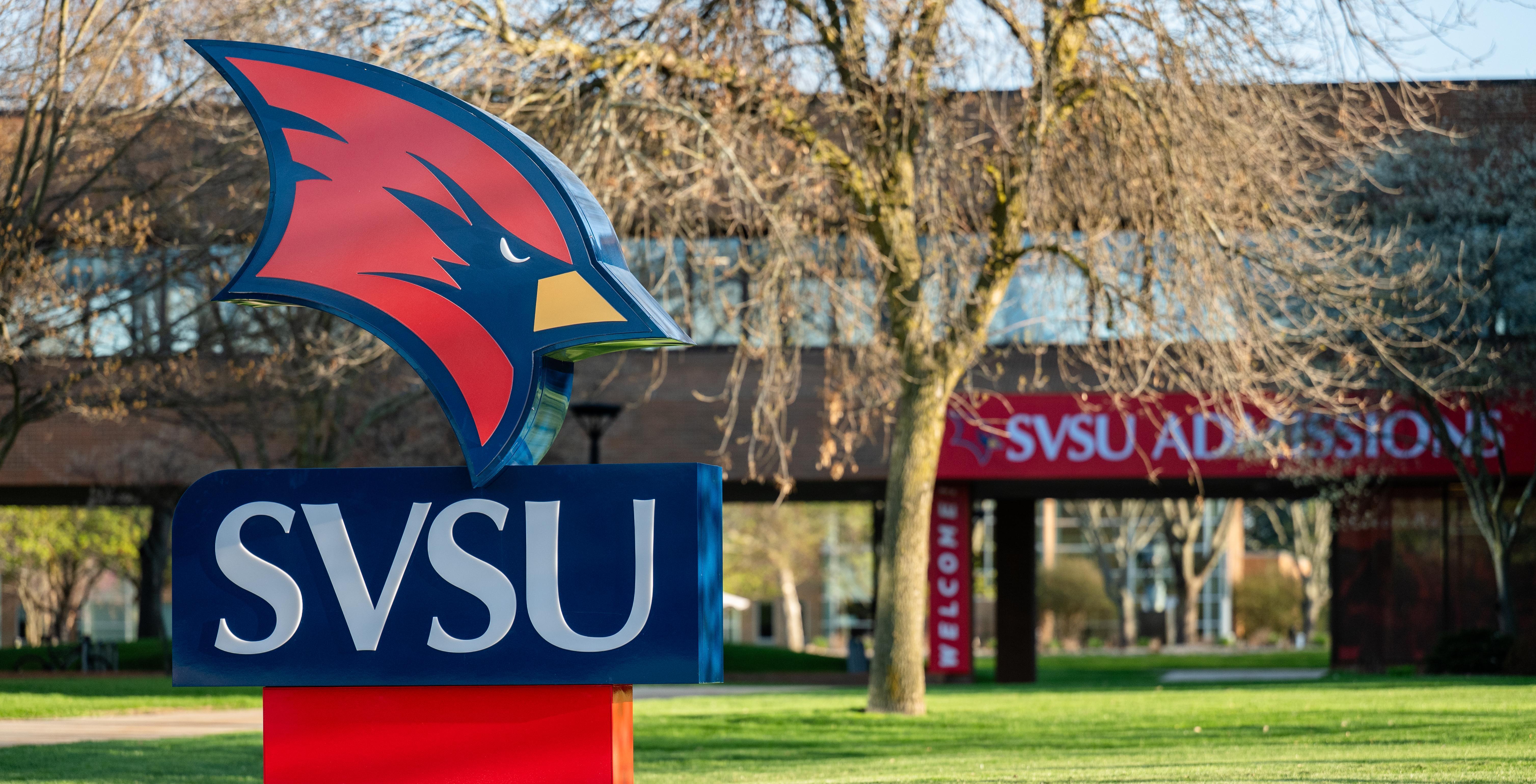Banner size for the svsu sign 